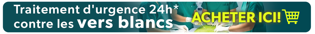 UrgenceGazon_NavigationTraitement d'urgence 24h contre les Vers Blanc